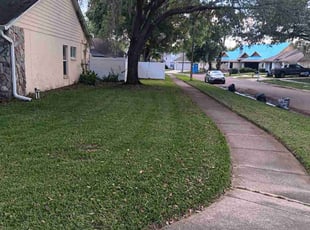Amber L.'s Lawn Care service result