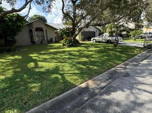 Monique G.'s Lawn Mowing service result