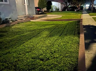 Linda F.'s Yard Cutting service result