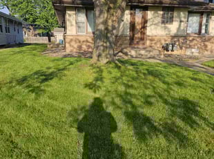 Jimmy S.'s Lawn Mowing service result