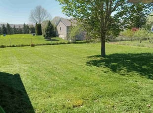 James W.'s Lawn Care service result