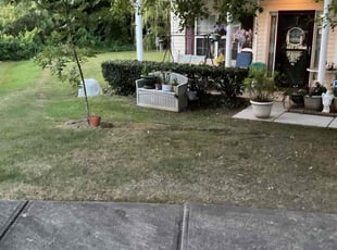 Bush Trimming by Bri Foster for Terresa G. in Charlotte, NC