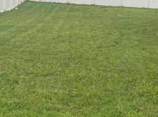 Suzanne Z.'s Grass Cutting service result