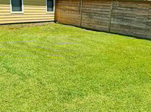 Randy R.'s Lawn Service service result