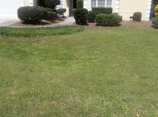 Bush Trimming by Quintauris Ashmon for Naomi A. in Stone Mountain, GA