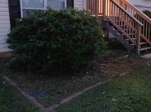 Weeding by Lewis Eurich for Felicia W. in Hampton, GA