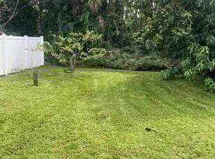 Matthew B.'s Lawn Service service result