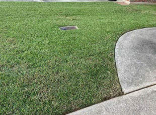 Ether T.'s Lawn Service service result