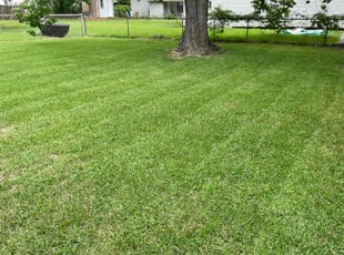 Jonny N.'s Grass Cutting service result