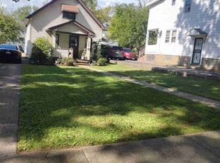 Leaf Removal by Anthony Coleman for Anna S. in Garfield Heights, OH