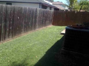 Gwen R.'s Lawn Mowing service result
