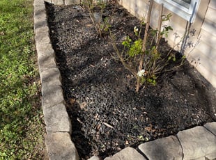 Weeding by Garnett Kelly for Erica S. in Columbia, MD