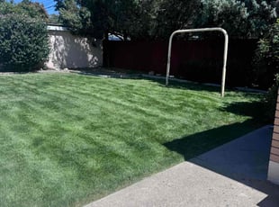Keena M.'s Grass Cutting service result