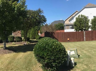 Bush Trimming by Brandon Medlin for Cheryl L. in Raleigh, NC