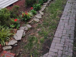 Bush Trimming by Nicole Royster for Matthew H. in Norfolk, VA