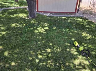 Kenneth L.'s Lawn Care service result