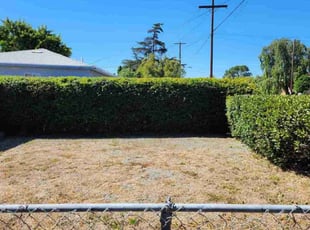 Bush Trimming by Orlando Miranda for John L. in San Diego, CA