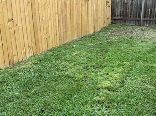 Debbie D.'s Lawn Care service result