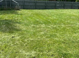 George R.'s Lawn Mowing Service service result