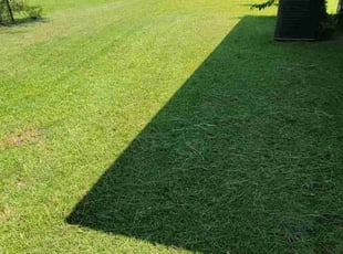 Ryan C.'s Lawn Service service result