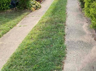 George O.'s Lawn Service service result