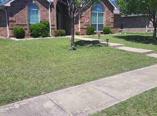 Ginny M.'s Grass Cutting service result