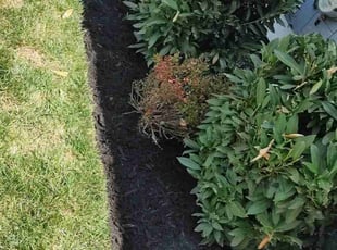 Mulching by Allan Roberts for Derek R. in Washington, DC
