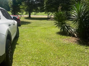 Peyton K.'s Lawn Care service result