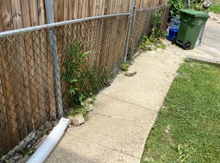 Bush Trimming by Melford Franklin for Joe H. in Baltimore, MD
