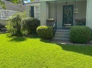 Kenneth W.'s Grass Cutting service result