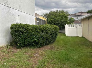 Bush Trimming by Carlton Calloway for Andrew C. in Valrico, FL