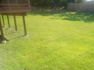 Ray K.'s Lawn Care service result