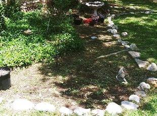 Weeding by Derek Schoenfeld for Mimi S. in San Antonio, TX