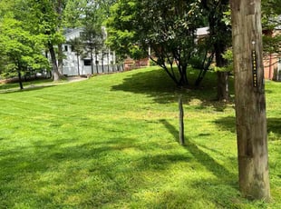 Cliff B.'s Lawn Mowing service result