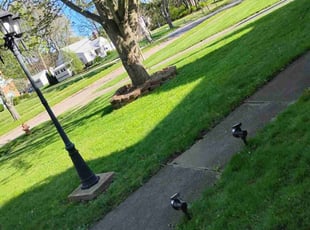 Susan J.'s Yard Cutting service result