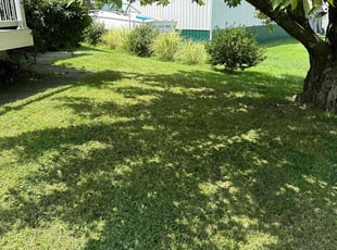 Jayrod Y.'s Lawn Service service result