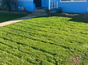 Nancy T.'s Lawn Mowing Service service result