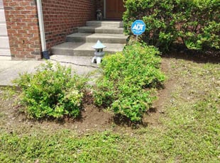 Weeding by Dean Cooper for Blake B. in Lexington, KY