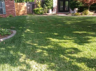 Lori H.'s Lawn Service service result