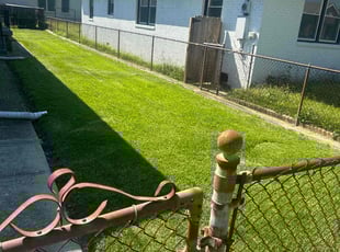 Alysa B.'s Lawn Care service result