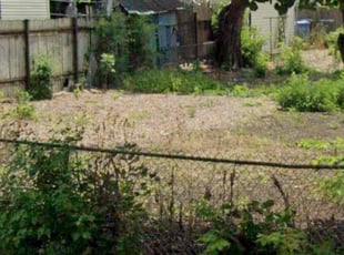 Cleanups by Rayshawn Coley for Fisayo A. in Skokie, IL