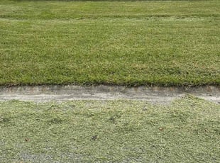 Kesha H.'s Lawn Maintenance service result
