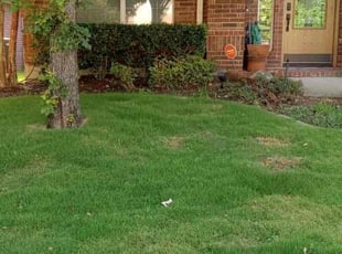 Bush Trimming by Brian Orozco for Jim T. in Rockwall, TX