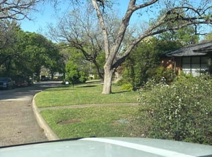 Michelle R.'s Lawn Service service result