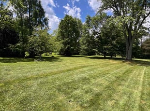 Tj U.'s Lawn Mowing service result