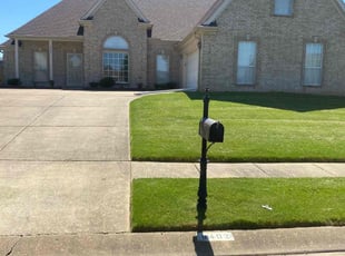 Miriam G.'s Lawn Mowing Service service result
