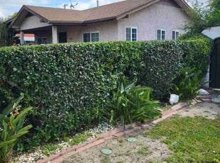 Bush Trimming by Ricardo Garcia for Joseph T. in Santa Ana, CA