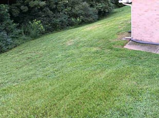 Lori H.'s Lawn Care service result