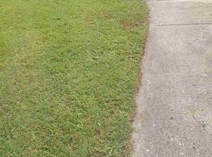 Michelle F.'s Lawn Maintenance service result