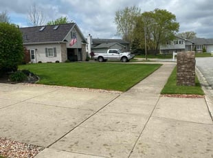 Denise A.'s Lawn Mowing Service service result